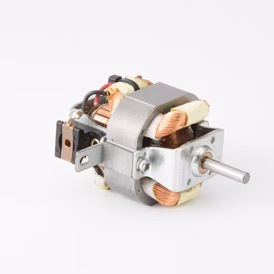 Hot Sale AC moteur universel avec un bon prix pour sèche-cheveux