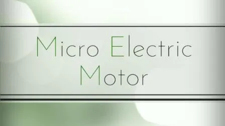 Mini moteur électrique à courant continu d'approbation professionnelle pour l'équipement de transmission