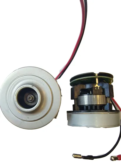 S65-0108c Moteur électrique CC sans balais pour aspirateur