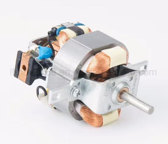 Électrique monophasé pour sèche-cheveux AC Universal Motors